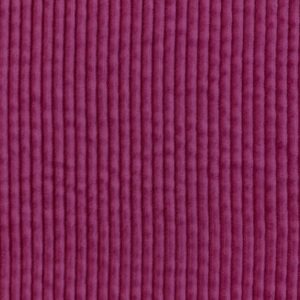 Velours 500 raies Dalhia
