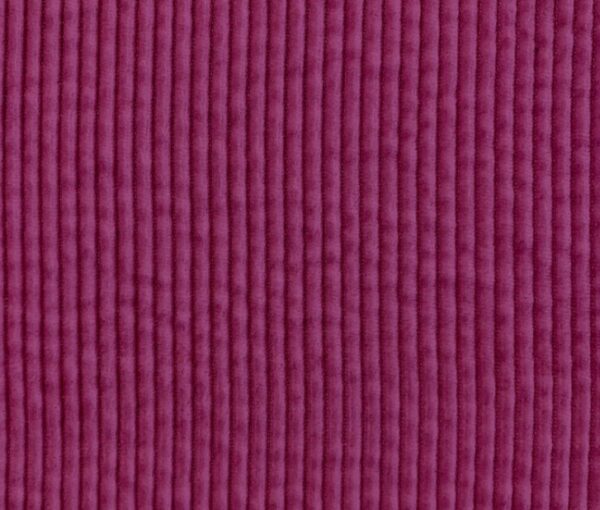 velours 500 raies coton dalhia