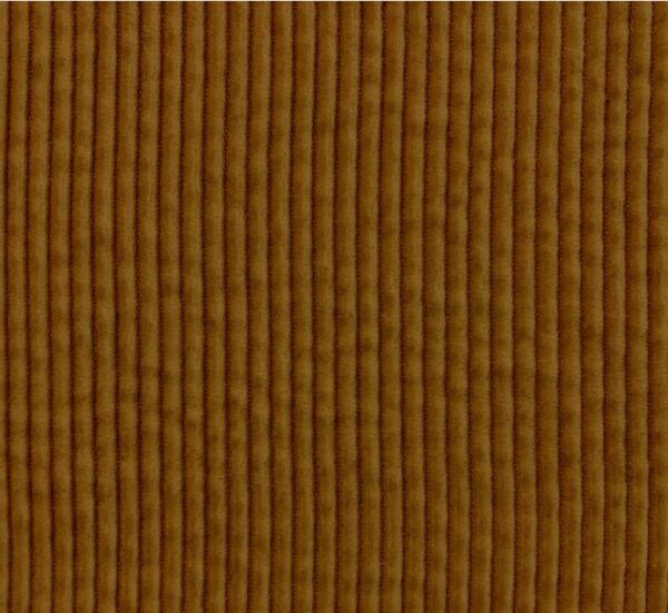velours coton havane 500 raies