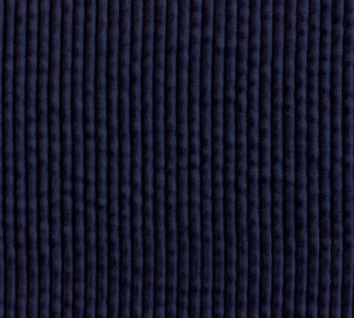 velours 500 raies coton marine