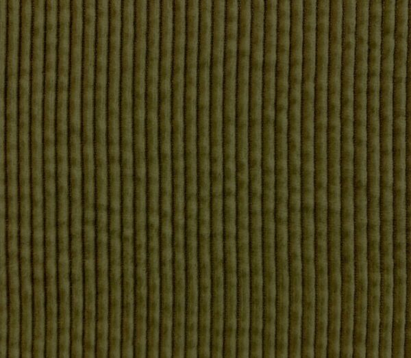 velours olive coton 500 raies