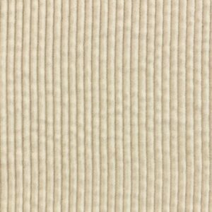 Velours 500 raies coloris Lin